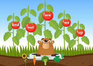 Feed the Groundhog